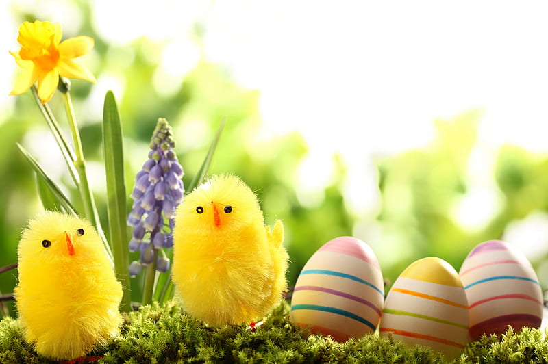 Easter , colorful, holidays, daffodils, yellow, spring, event, Easter, special days, eggs, flowers, pastel, HD wallpaper
