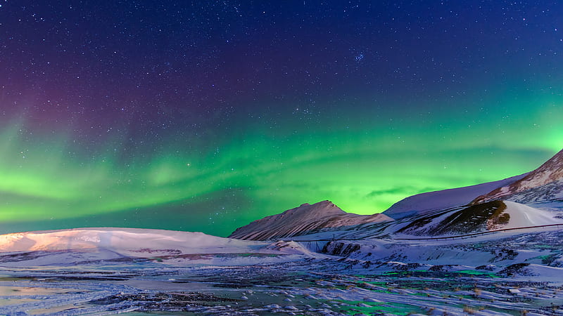 Aurora Borealis , aurora, nature, snow, winter, HD wallpaper
