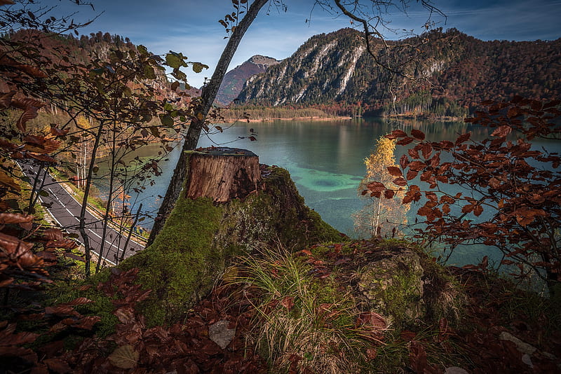 Lakes, Lake, Austria, Fall, Mountain, Nature, Road, Stump, HD wallpaper