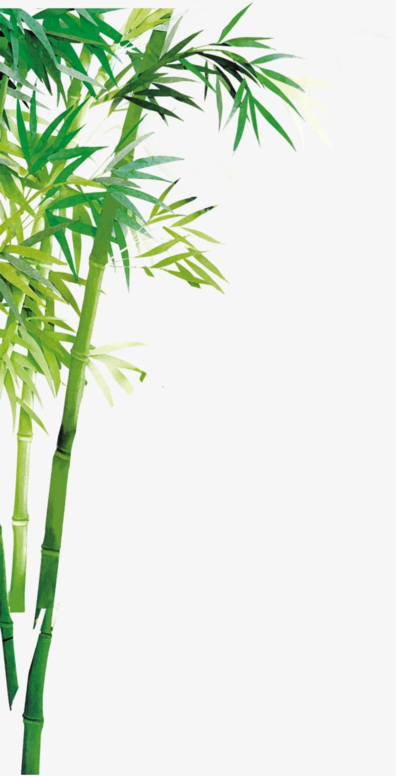 Hand Painted Green Bamboo Forest. Bamboo art painting, Bamboo , Bamboo art, Chinese Bamboo Forest, HD phone wallpaper