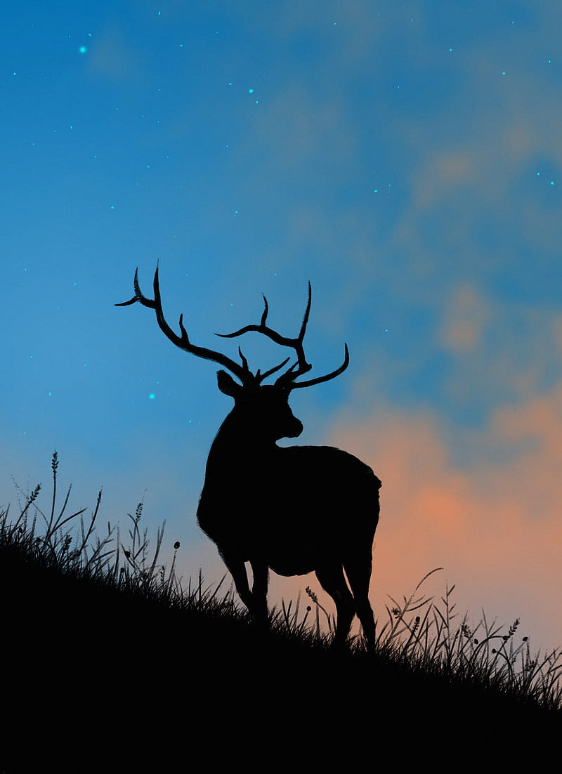 deer, antlers, silhouette, stars, dusk, art, HD phone wallpaper