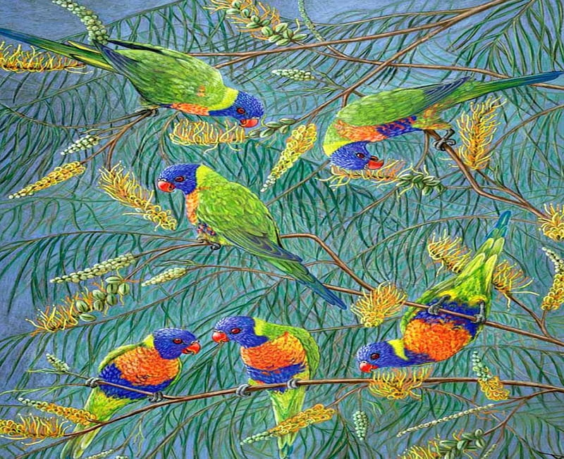 Parrot Party, rainbow lorikeets, art, parrots, grevillea plant, HD wallpaper