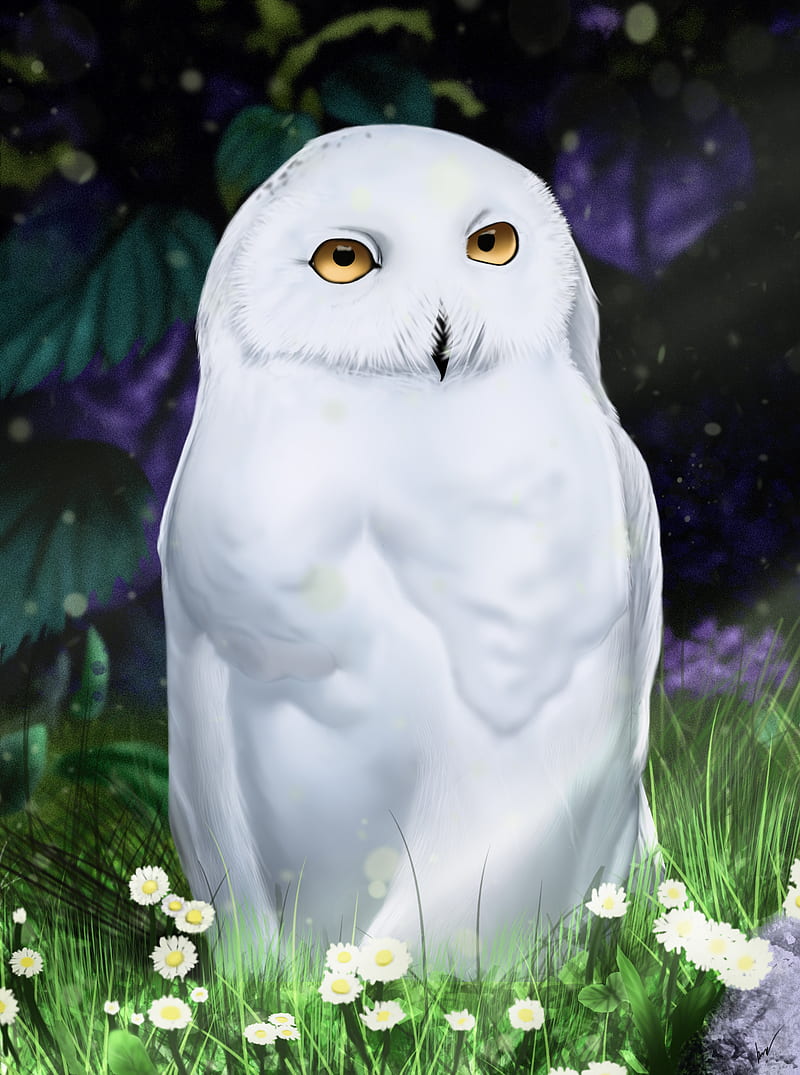 owl, white, bird, art, HD phone wallpaper