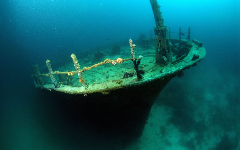 forgotten ship, underwater, vehicle, wet, ocean, old, shipwrech, crash, sea, wreck, beach, graphy, water, ship, nature, HD wallpaper