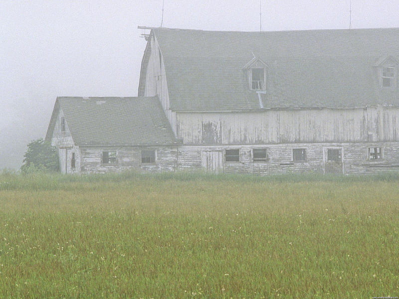 Sagging Barn in Summer Mist, Northern Door County, Wisconsin, northern door county, wisconsin, summer mist, sagging barn in, HD wallpaper