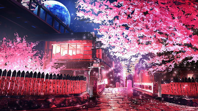 Cherry Tree Anime, anime, artist, artwork, digital-art, HD wallpaper