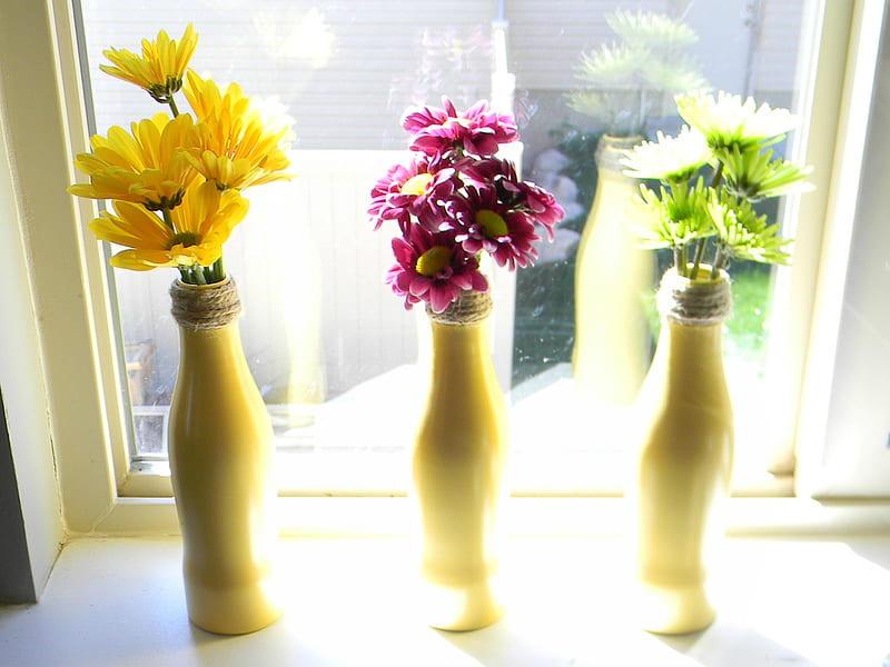 1920x1080px, 1080P free download | Flower in the bottles, bottles