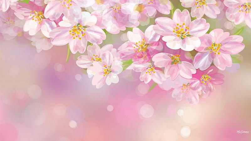 Cherry Blossoms Pink, fragrant, Sakura, spring, apple blossoms, cherry blossoms, bright, flowers, blooms, plum blossoms, pink, HD wallpaper