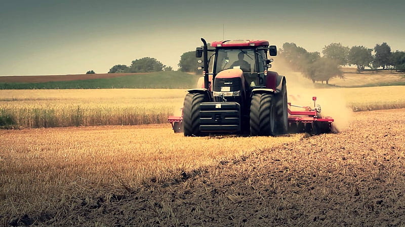 in the field, tractor, plow, case, field, HD wallpaper