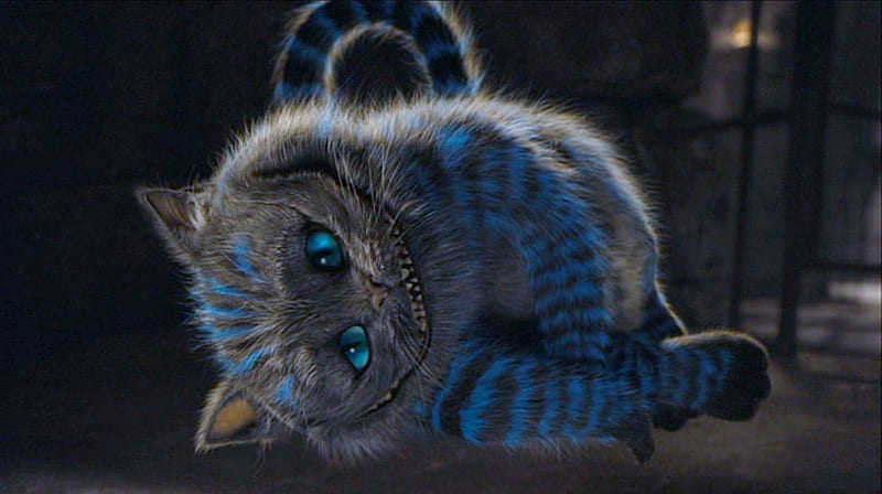 Cheshire Cat, alice in wonderland, movies, HD wallpaper