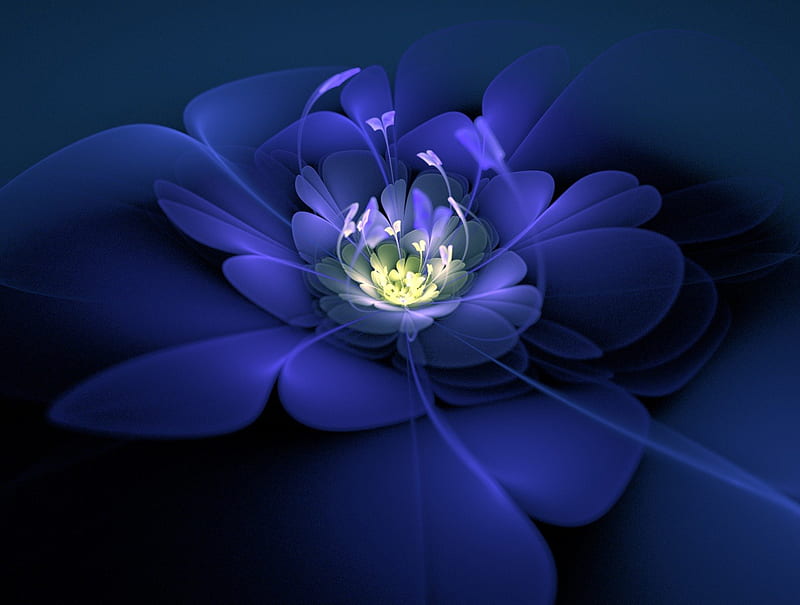 A blue one, Rich Color, Sensational, Inspiring, Blue, Flower, HD wallpaper  | Peakpx