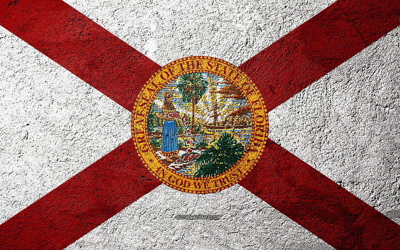 Flag of State of Florida, concrete texture, stone background, Delaware flag, USA, Florida State, flags on stone, Flag of Florida, HD wallpaper