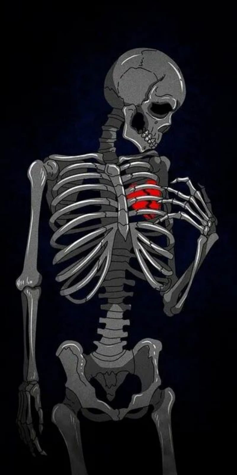 Skeleton, heart, love, skull, HD phone wallpaper