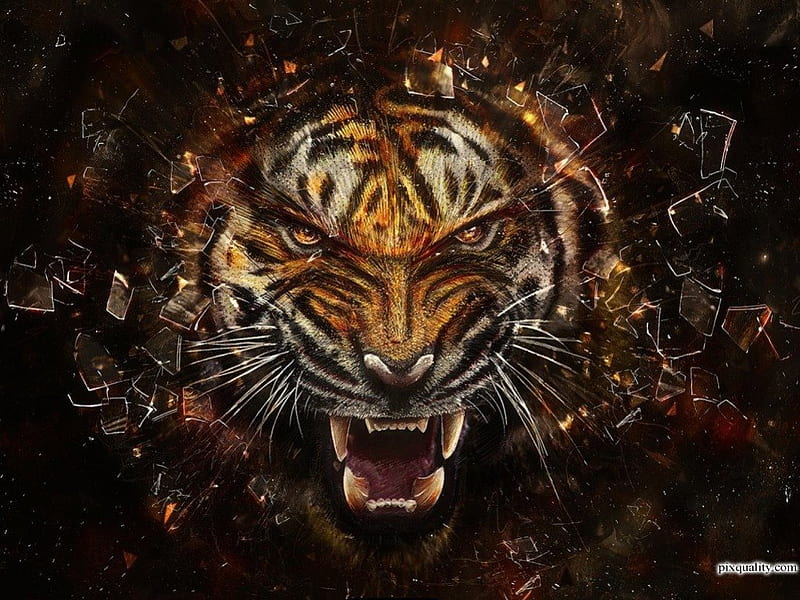 ಌ.Tiger Mask.ಌ, powerful, colorful, wonderful, high resolution, tiger mask, power, tiger, magic, canine, nice, fierce, miracle, animals, amazing, mustache, colors, hunters, abstract, smart, 3d, cool, nature, great, mask, HD wallpaper