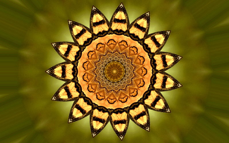 Butterfly Mandala, mandala, art, bonito, abstract, illustration, artwork, kaleidoscope, painting, wide screen, HD wallpaper