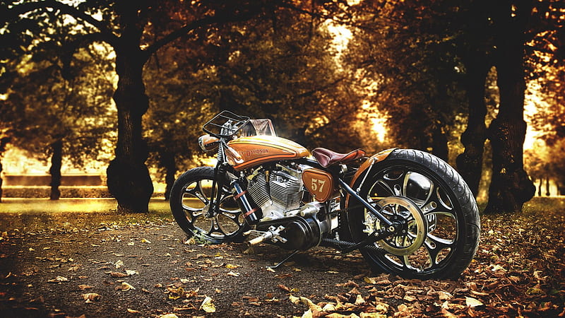 Harley Davidson Motorcycle, harley-davidson, bikes, HD wallpaper