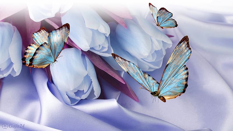 Butterfly, Artistic, Tulip, HD wallpaper | Peakpx