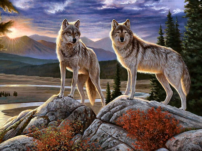 Evening Vigil - Wolf F2Cmp, lobo, art, bonito, illustration, artwork, canine, animal, painting, wide screen, wildlife, nature, wolf, HD wallpaper