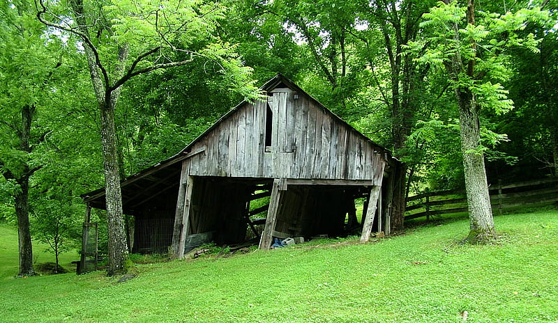Old Forest Barn, HD wallpaper