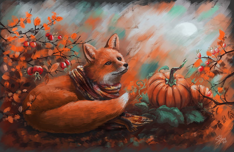 Dreaming fox, art, autumn, luminos, orange, halloween, shade, toamna, animal, shadeart, vulpe, fantasy, fox, pumpkin, HD wallpaper