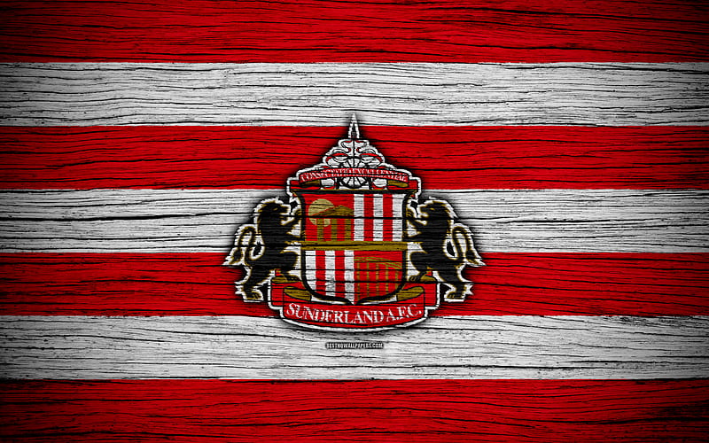 Sunderland FC EFL Championship, soccer, football club, England, Sunderland, logo, wooden texture, FC Sunderland, HD wallpaper