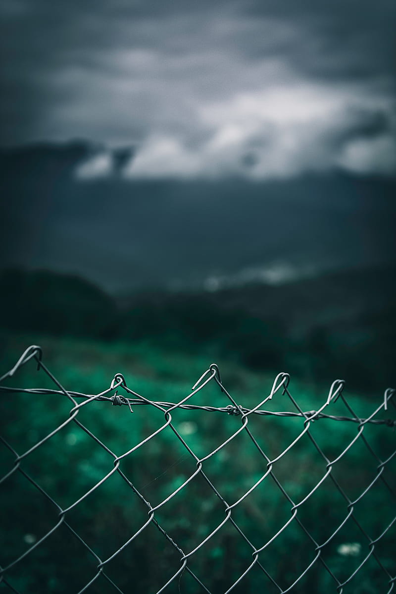 mesh, fence, blur, sky, grass, clouds, HD phone wallpaper
