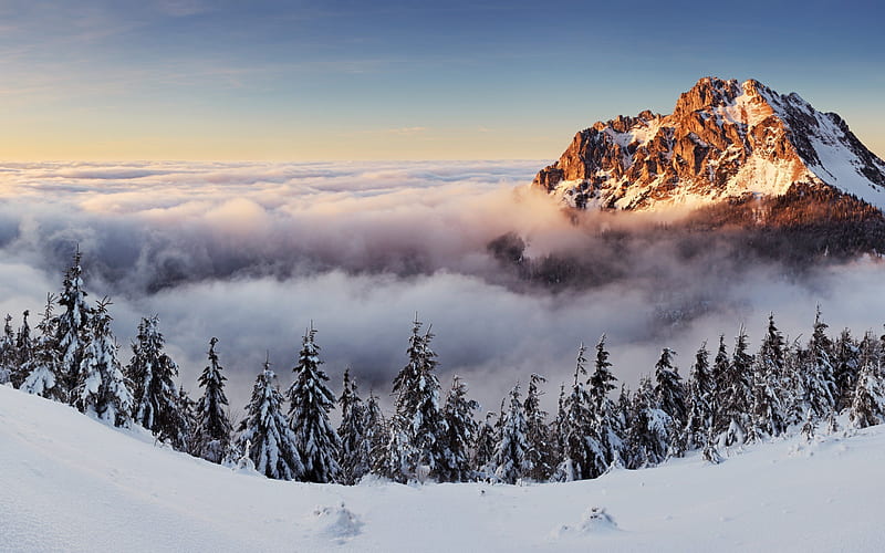 above clouds, morning, clouds, snow, slovakia, winter, mountains, panorama, HD wallpaper