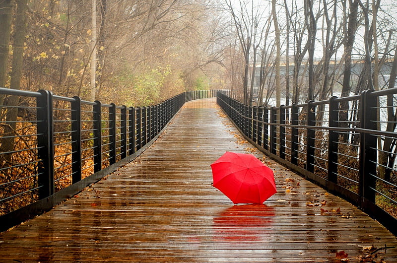 Rainy Day, fall, autumn, autumn leaves, umbrella, drops, rainy, splendor, bridge, autumn splendor, nature, rain, HD wallpaper