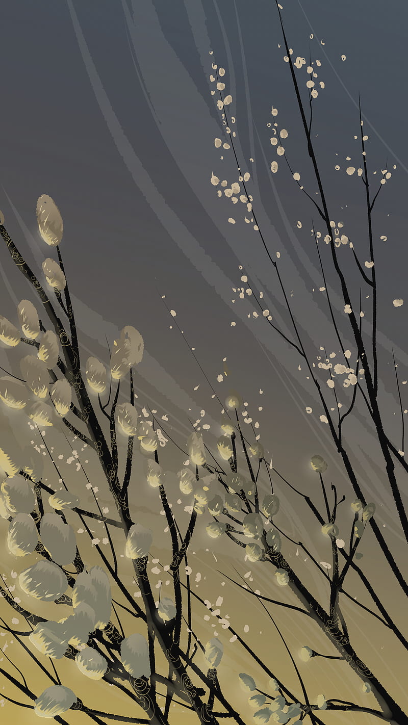 branches, vector, willow, flowers, art, flowering, HD phone wallpaper