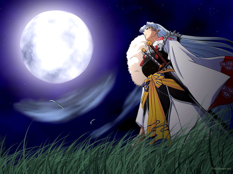Sesshomaru Full Moon, night sky, grass, full moon, sesshomaru, night, HD wallpaper