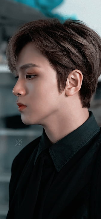 HD haechan wallpapers | Peakpx