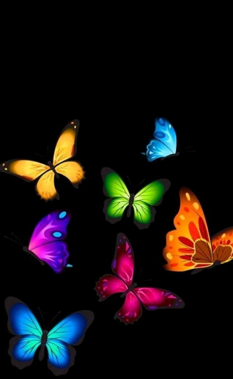 Colours butterfly, butterflies, moths and butterflies, HD phone wallpaper