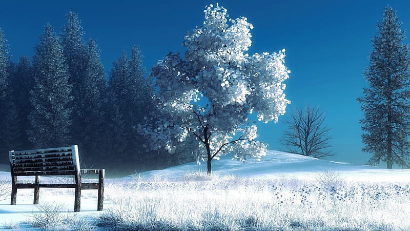 Beautiful Background Winter Snow Tree Hd Wallpaper  OpenDesktoporg