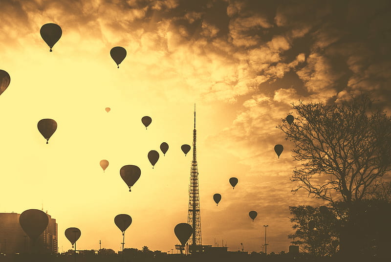 silhouette hot air balloons under cloudy skies during golden hour, HD wallpaper