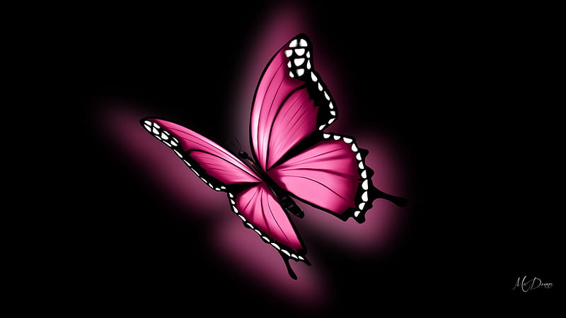 Glowing Pink Butterfly, glow, butterfly, summer, nature, spring, pink, Firefox Persona theme, light, HD wallpaper
