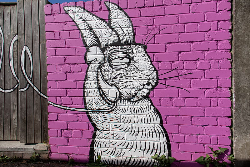 white rabbit using telephone wall art, HD wallpaper