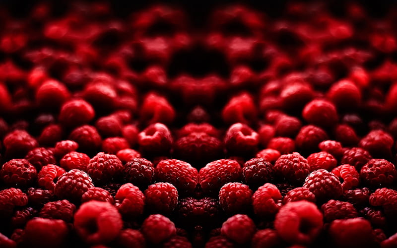 Raspberry berry red-Macro graphy, HD wallpaper