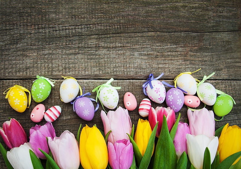 Holiday, Easter, Easter Egg, Flower, Tulip, HD wallpaper