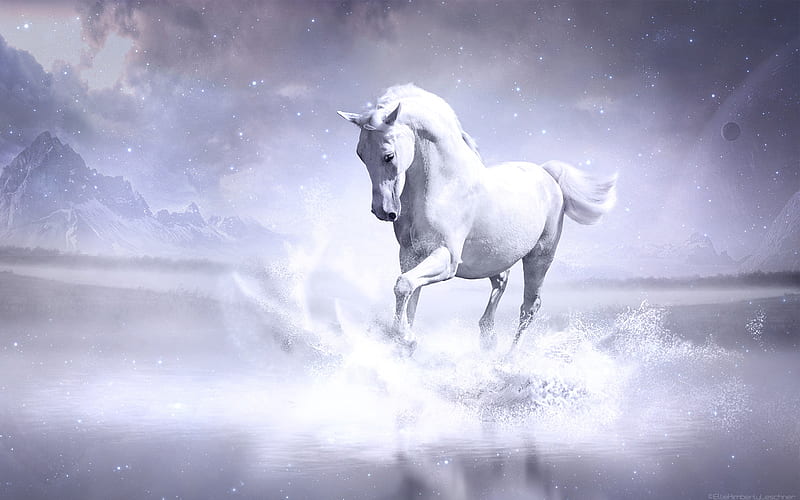 White Horse With Background Of Colorful Clouds And Glittering Stars HD  Horse Wallpapers | HD Wallpapers | ID #57071