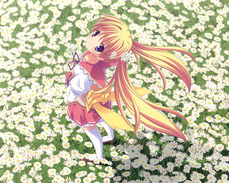 Matsuri Konohana, wind, yellow, anime school girl, marguerite sphere, anime, flowers, anime girl, pink, HD wallpaper
