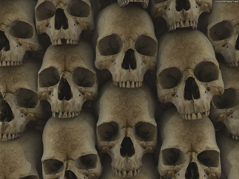 skull bone head stack Les Catacombes crypt gothic skulls bones [] for your , Mobile & Tablet. Explore Skull Heads. Awesome Skull , Harley Davidson, HD wallpaper