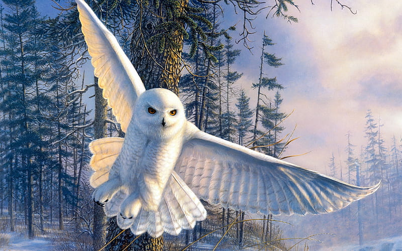 Snowy owl, white, iarna, winter, art, owl, wings, james meger, bufnita de zapada, bird, painting, pasari, pictura, HD wallpaper