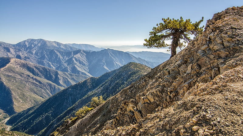 lone tree on a rocky mountainside, rocks, tree, lone, mountains, HD wallpaper