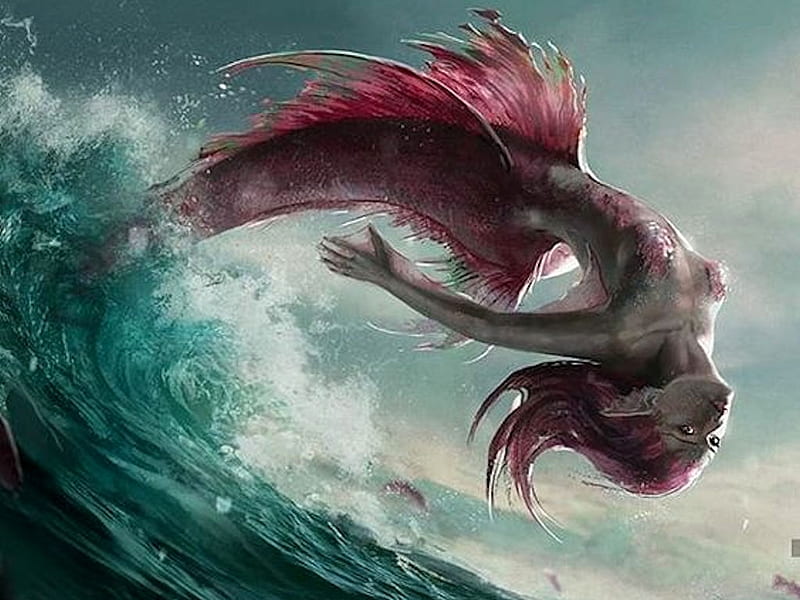 Mermaid, album, surreal creative art, the WOW factor, etheral women, Instagram, women are special, female trendsetters, HD wallpaper