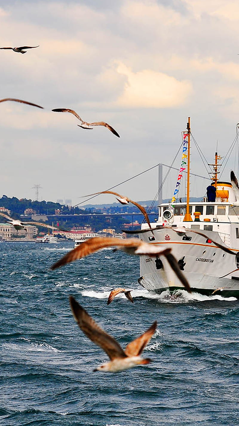 istanbul Turkey, eminonu, istanbul steamship turkey, HD phone wallpaper