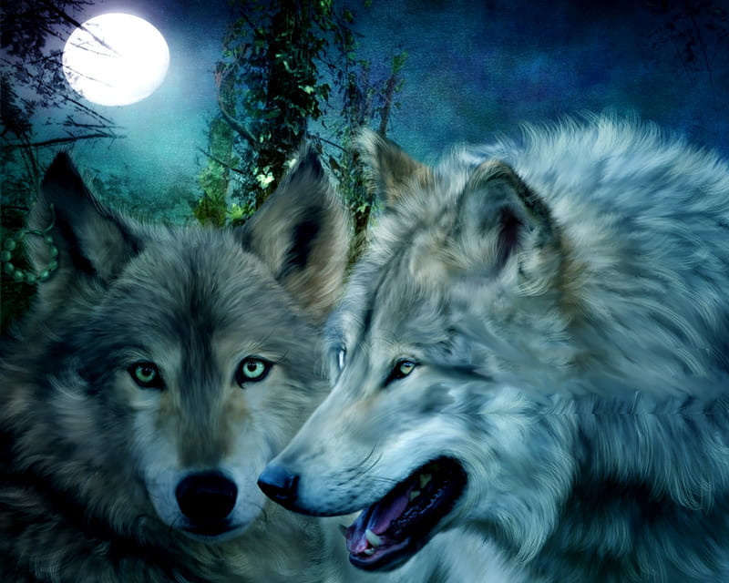 HONEYMOON COUPLE, moon, wild, wolf, wolves, couple, night, fullmoon, HD wallpaper