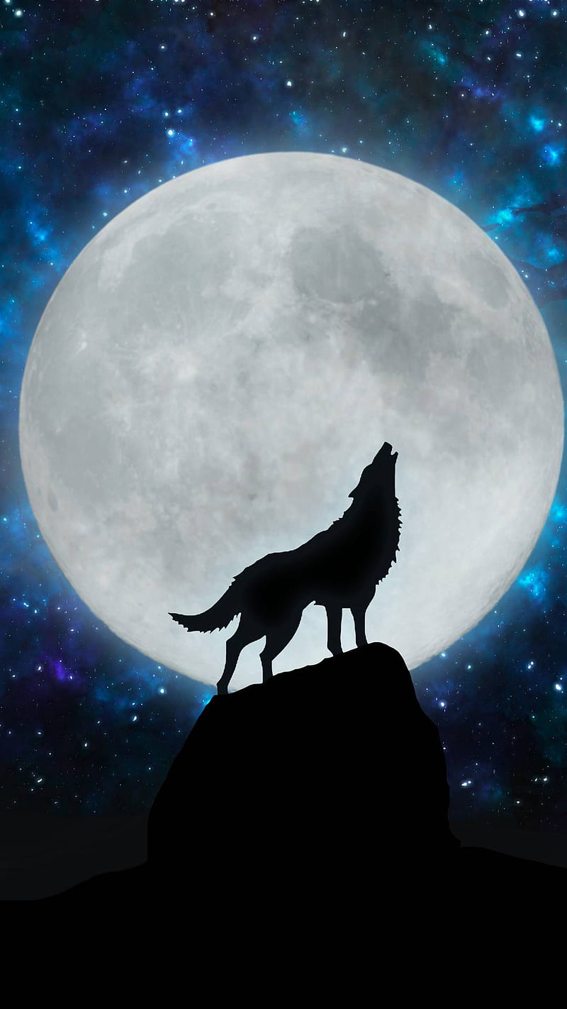 Full Moon Wolf Howling HD 4K Wallpaper 81518