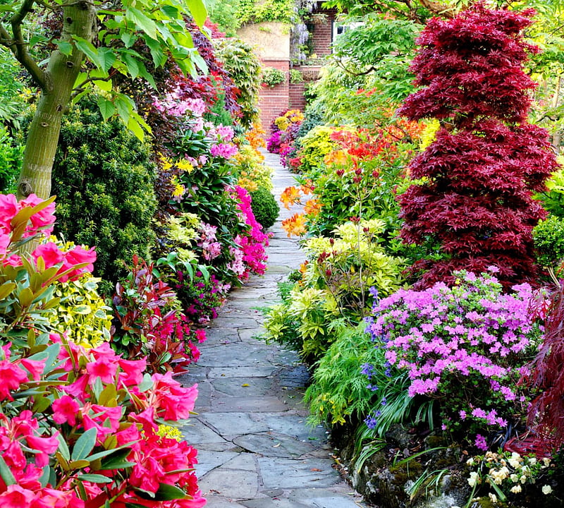 Pathway through the spring garden, spring garden pathway, colors of nature, colorful, pathway through the spring, green nature in spring, graphy, splendor, pathway, violet flowers, flowers, lovely flowers, beautiful garden, different flowers, pink flowers, colors, spring, paradise, lovely garden, coorful spring, nature, landscape, HD wallpaper