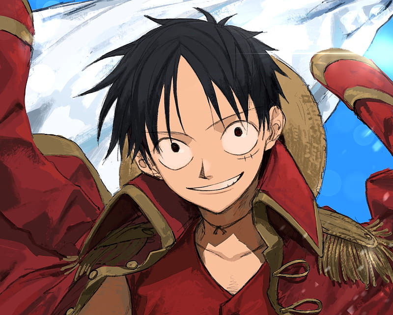 Rubber Luffy on X: One Piece Heart of Gold #Anime   / X