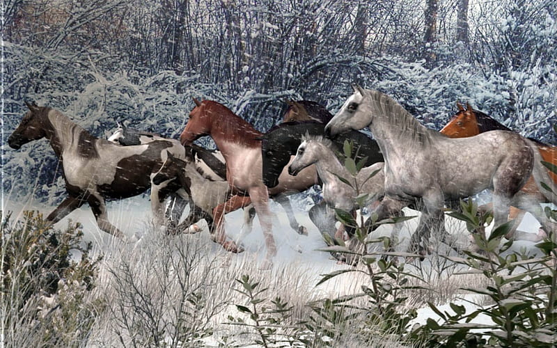 aldebaran horse running, animals, horses, HD wallpaper